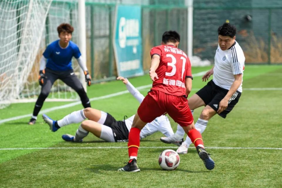 国内足球联赛阳光圈层，热点引发热议