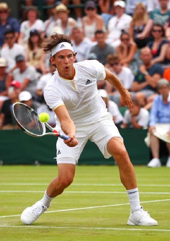 温网横扫美网，蒂姆统治全场的简单介绍